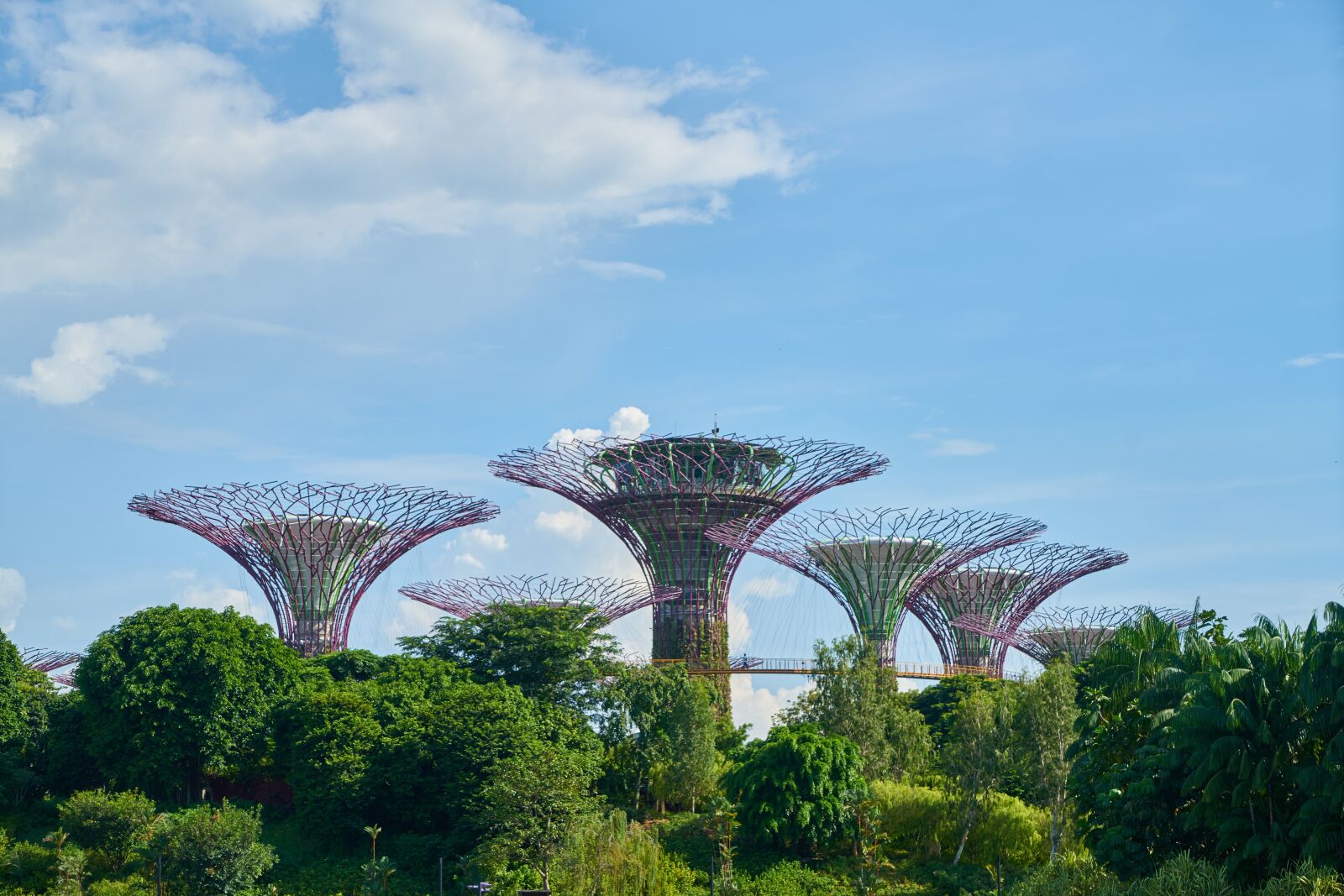 Sony a7R II sample photo. Singapore, asian, park photography