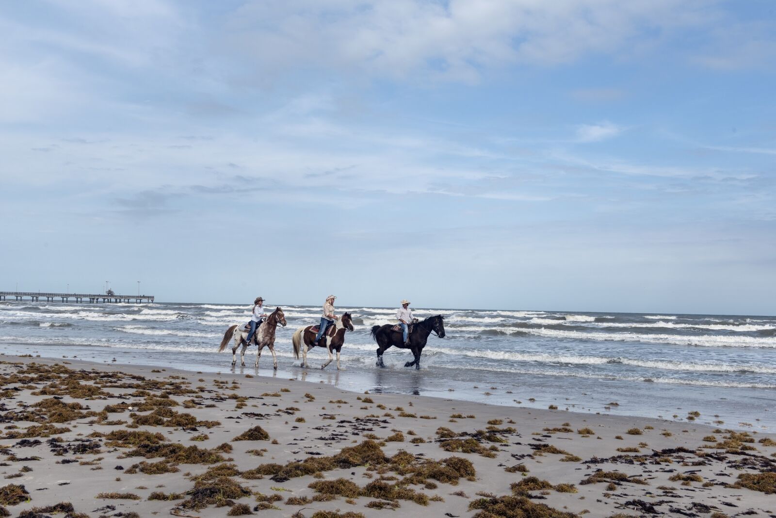 Nikon D800 sample photo. Horses, beach, riders photography