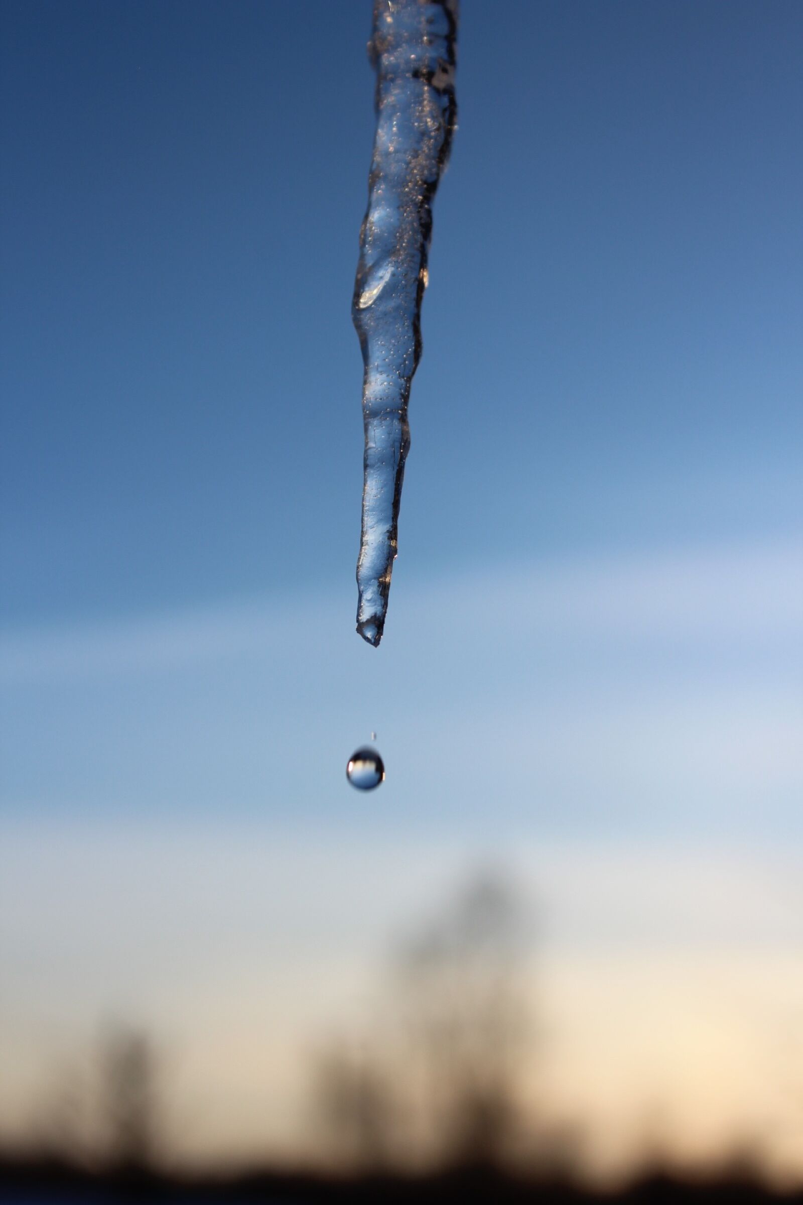 Canon EOS 1300D (EOS Rebel T6 / EOS Kiss X80) sample photo. Sky, cold, winter photography