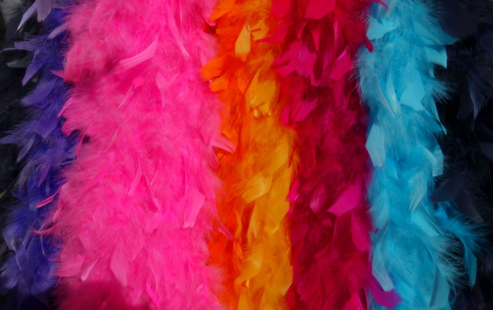 Sony Cyber-shot DSC-RX100 sample photo. Boa, feather boa, accessory photography