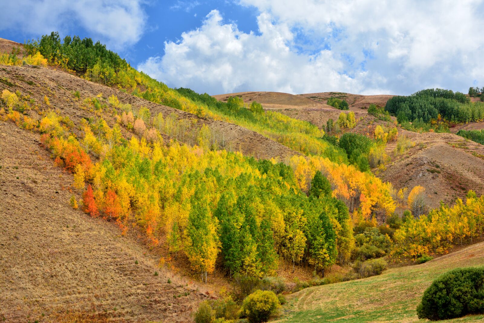 Nikon D7100 sample photo. Nature, landscape, kaçkars photography
