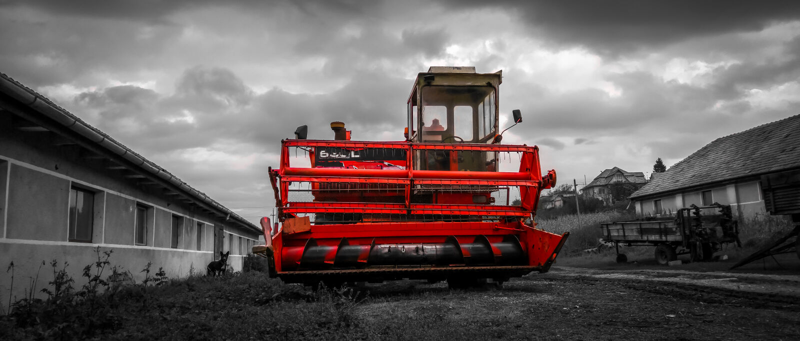 LG G4 sample photo. Agriculture, black, black, and photography
