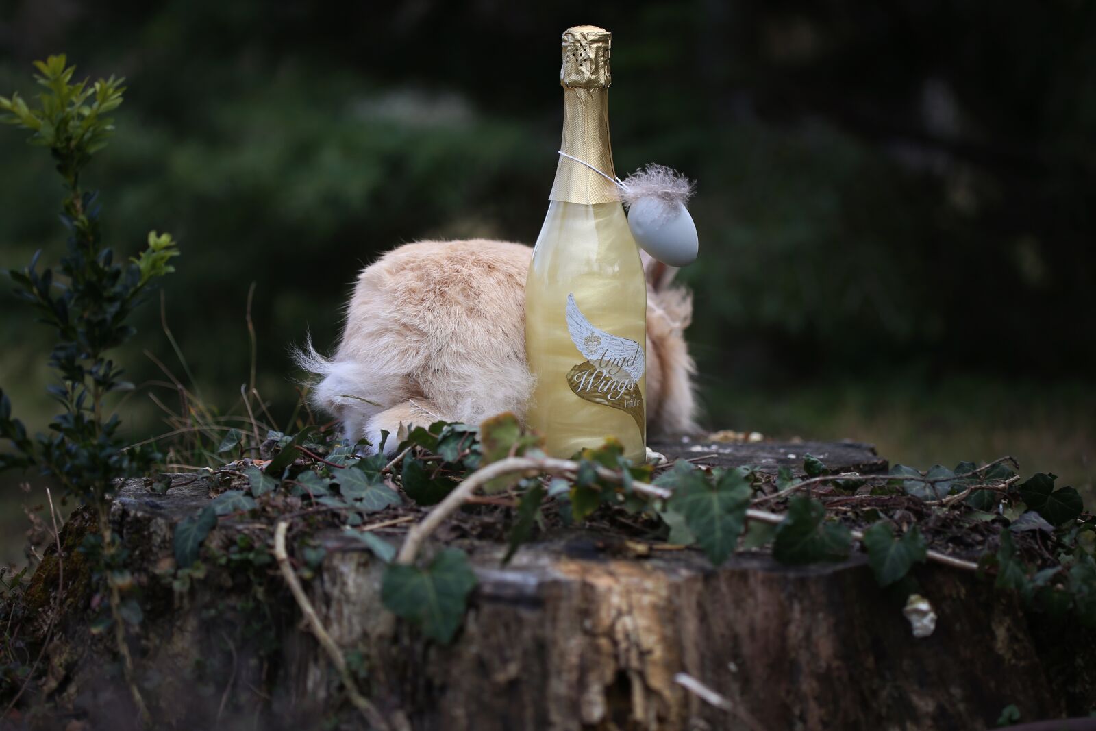 Canon EOS 6D sample photo. Easter theme, hare, easter photography