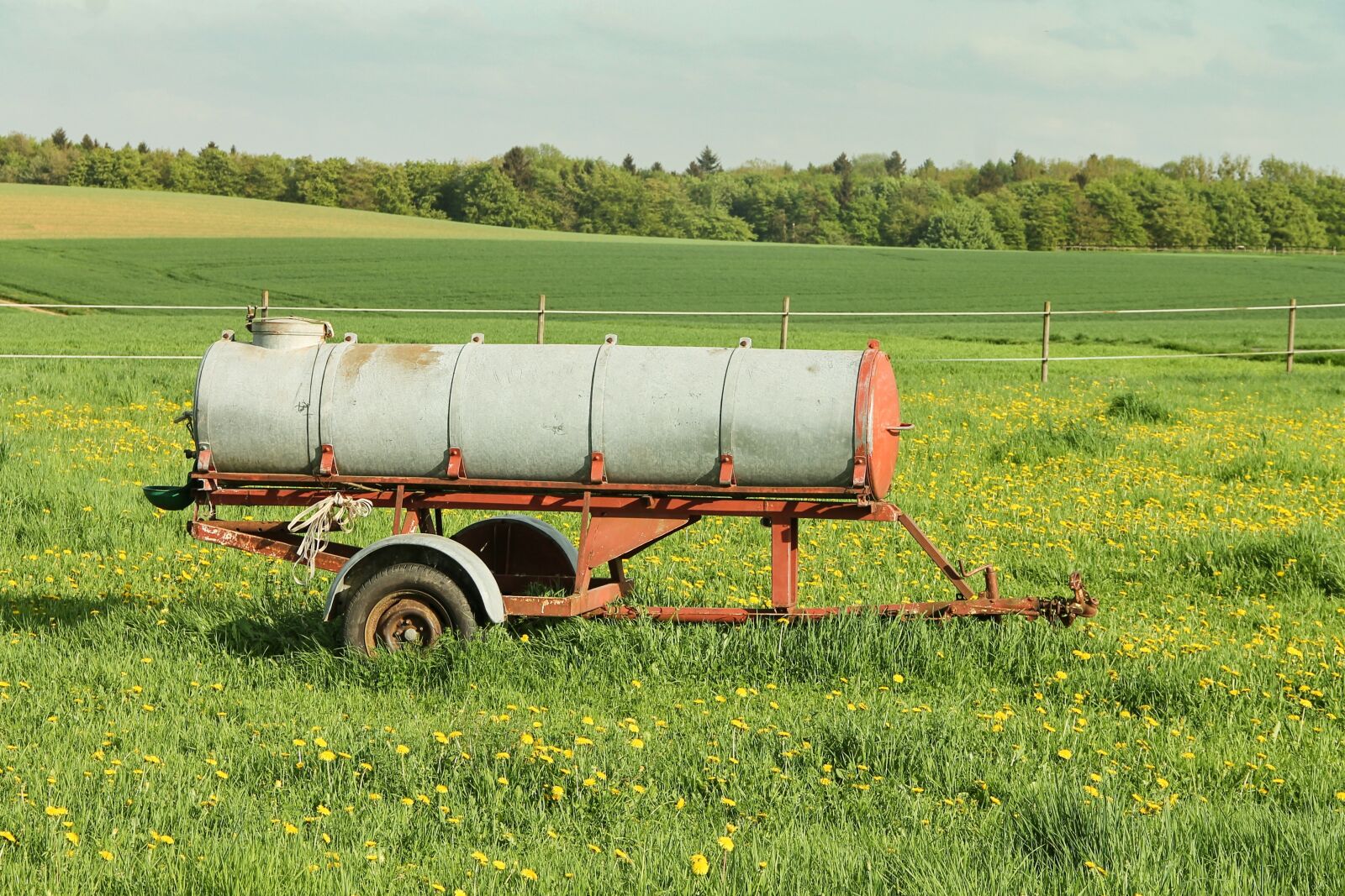 Canon EOS 1100D (EOS Rebel T3 / EOS Kiss X50) sample photo. Potions cart, meadow, spring photography