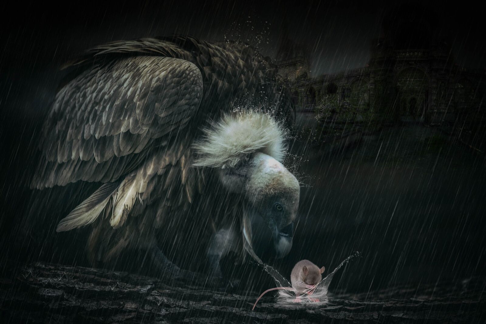 Sony a7 II sample photo. Fantasy, vulture, mouse photography
