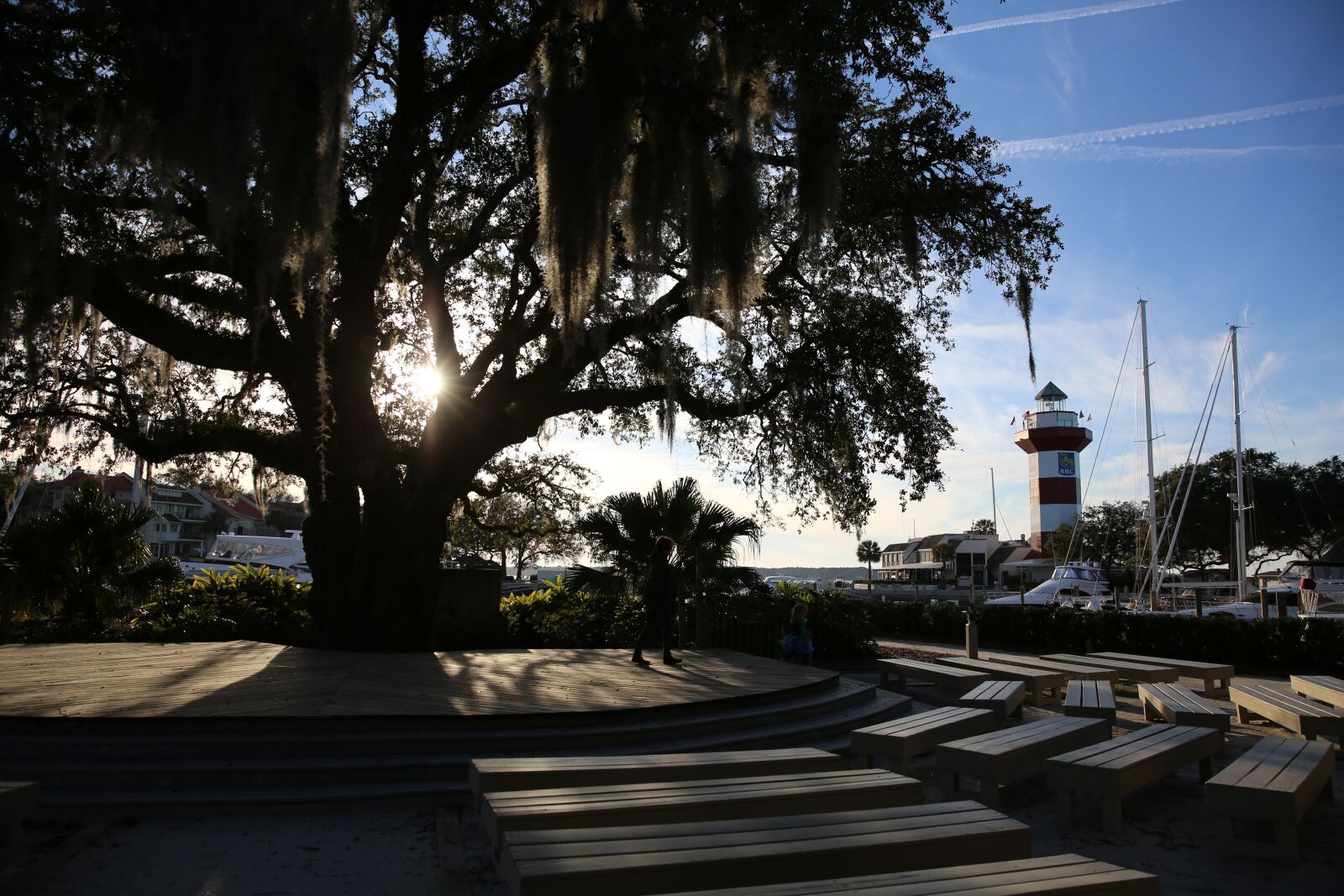 Canon EF 24-70mm F2.8L II USM sample photo. Spanish moss, liberty oak photography