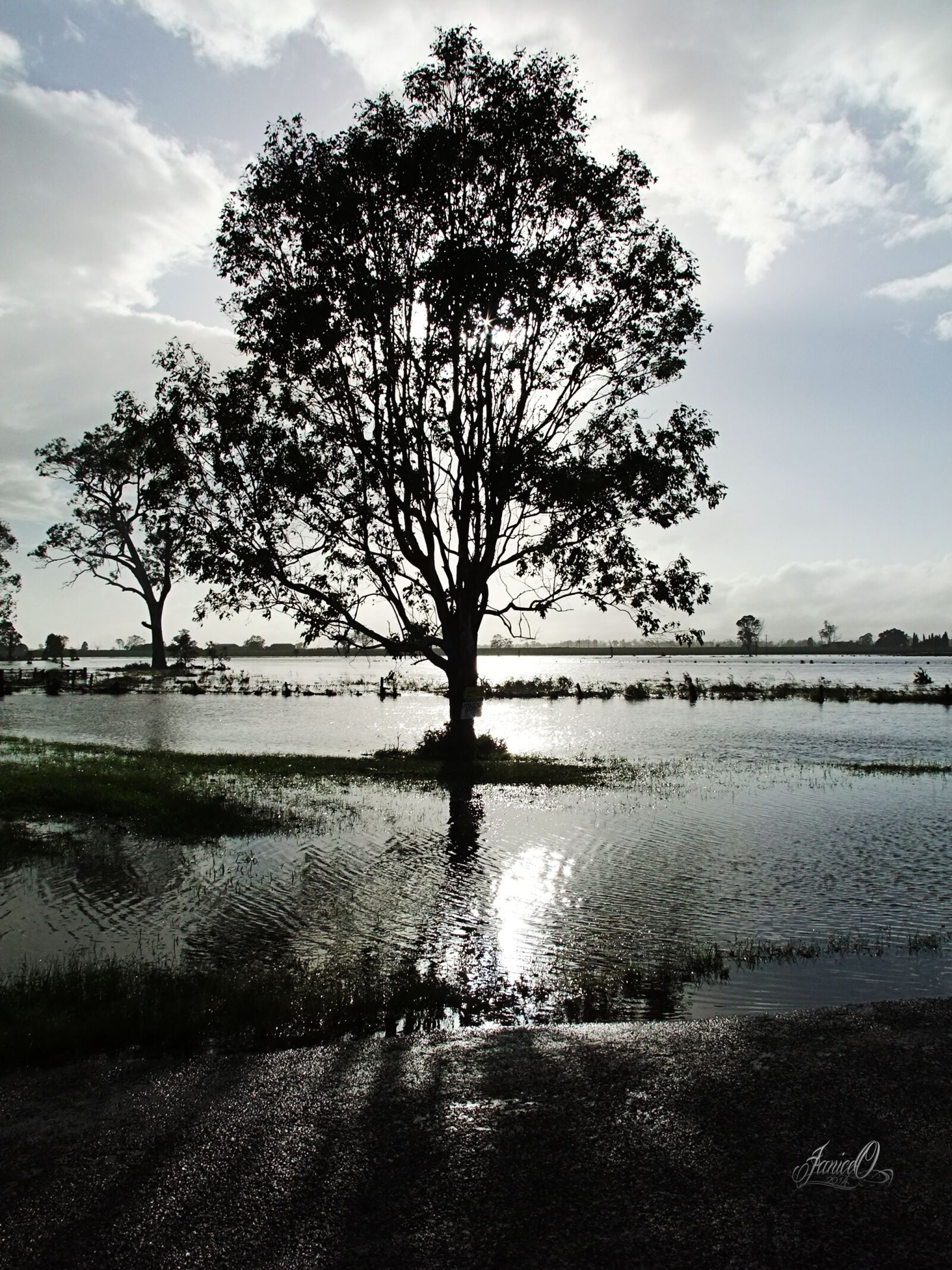 FujiFilm FinePix S200EXR (FinePix S205EXR) sample photo. Tree, water, morning photography