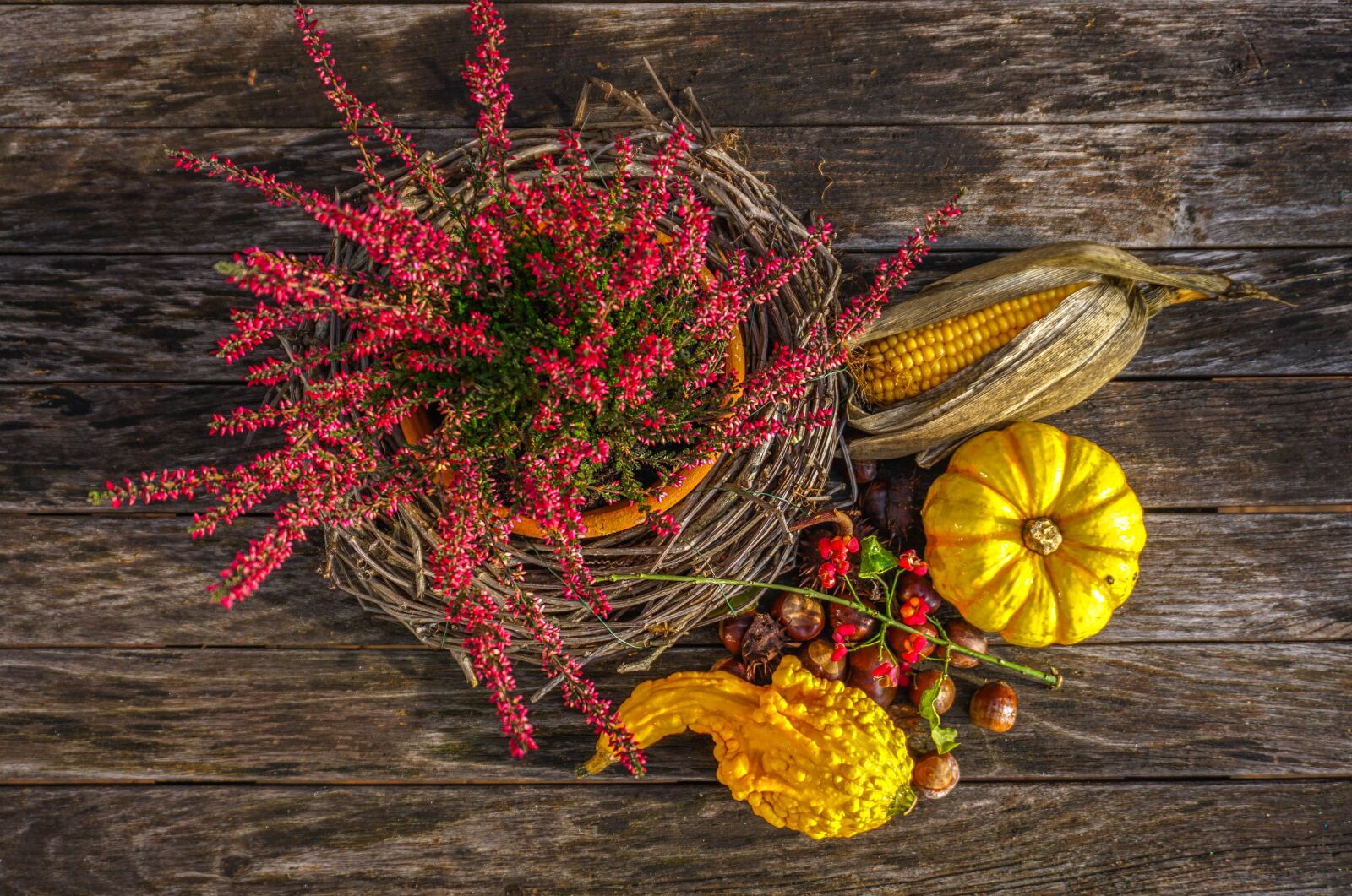 Sony E 16-50mm F3.5-5.6 PZ OSS sample photo. Halloween, pumpkin, decoration photography