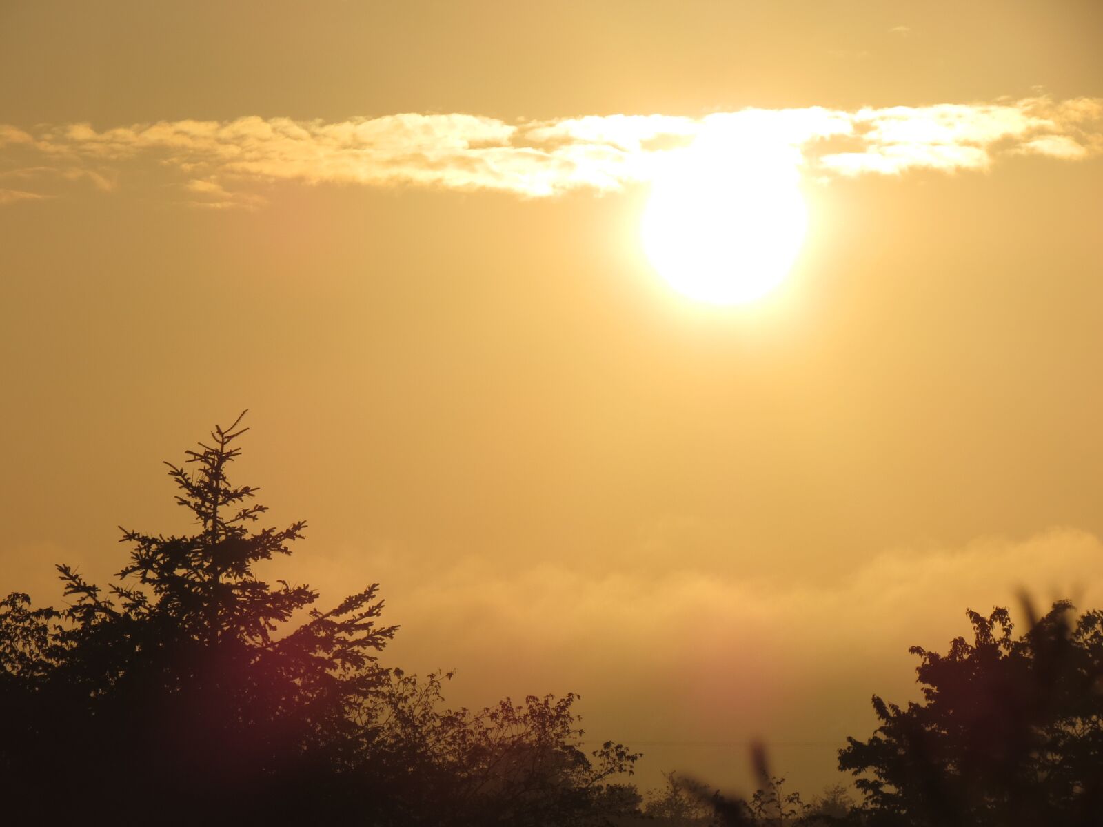 Canon PowerShot SX40 HS sample photo. Sun, dawn, aurora photography