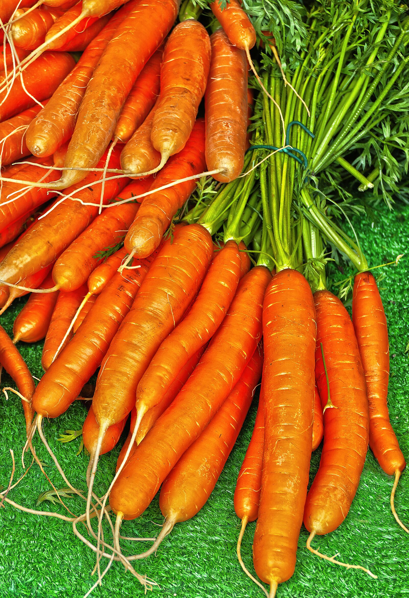 Panasonic Lumix DMC-FZ1000 sample photo. Carrot, yellow beet, carrots photography