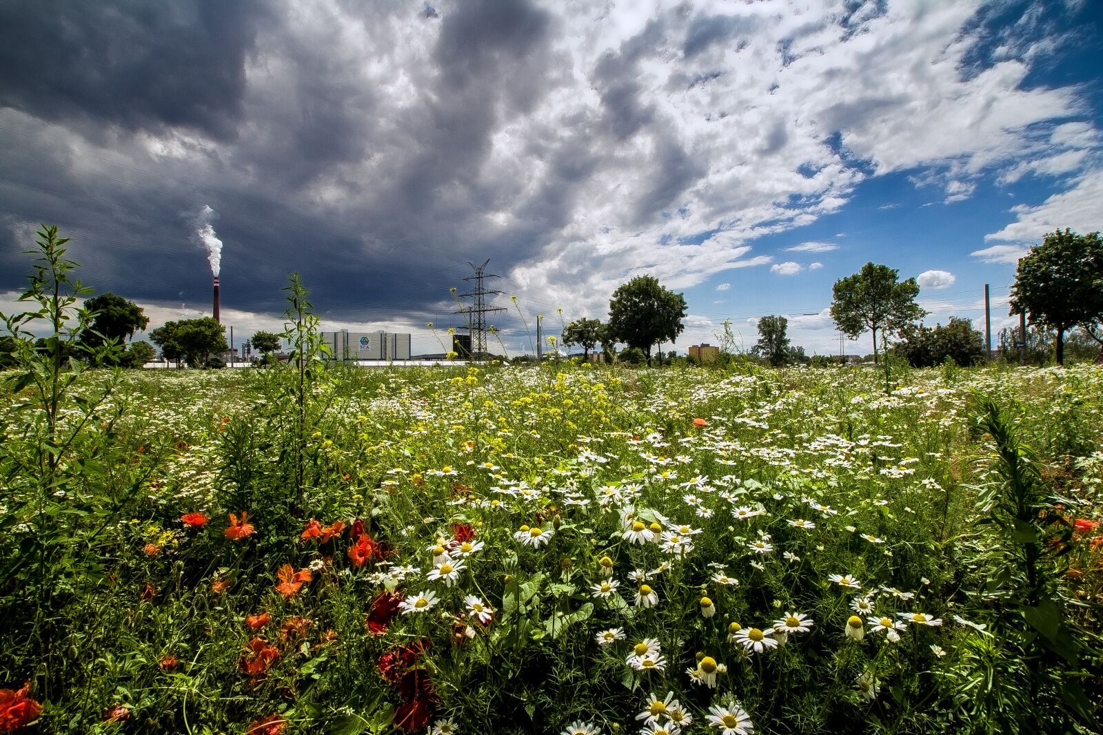 Canon EOS 600D (Rebel EOS T3i / EOS Kiss X5) sample photo. Landscape, summer, clouds photography