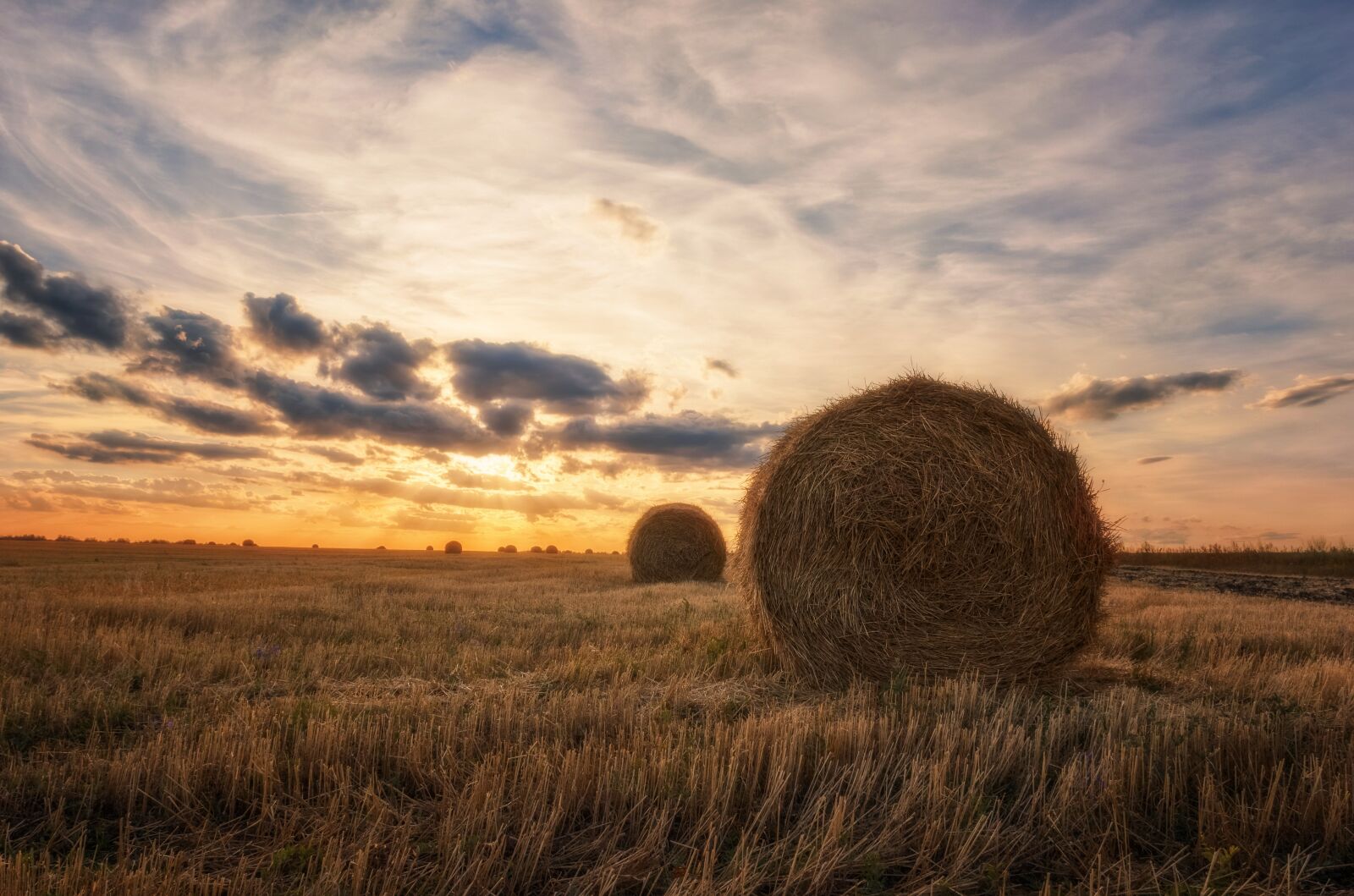Canon EOS 550D (EOS Rebel T2i / EOS Kiss X4) sample photo. Landscape, field, straw photography