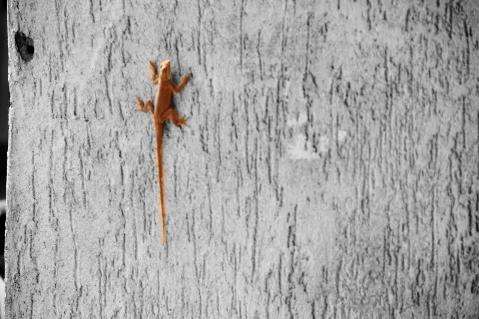 Canon EOS 7D sample photo. Background, image photography