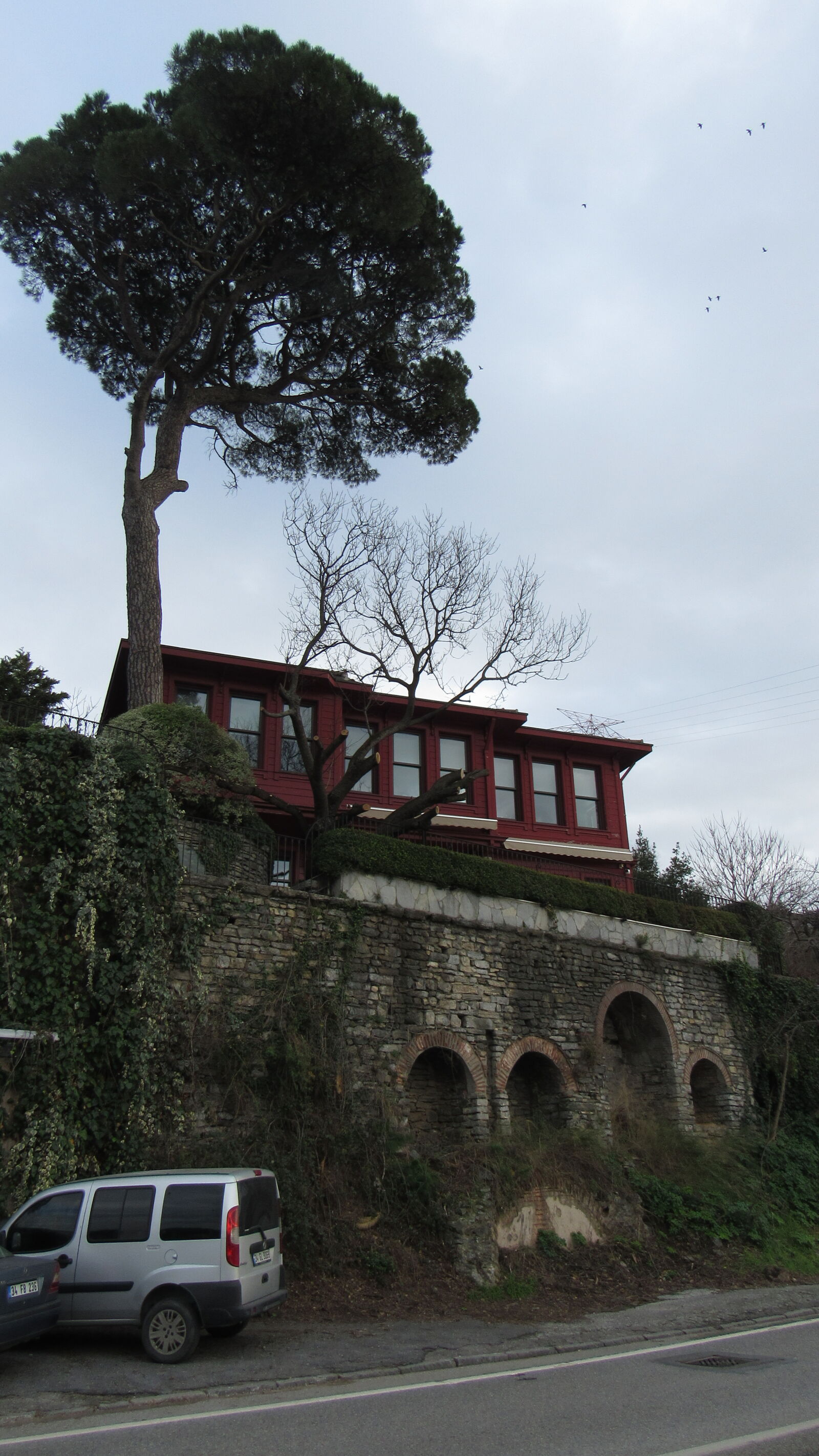 Canon PowerShot SX520 HS sample photo