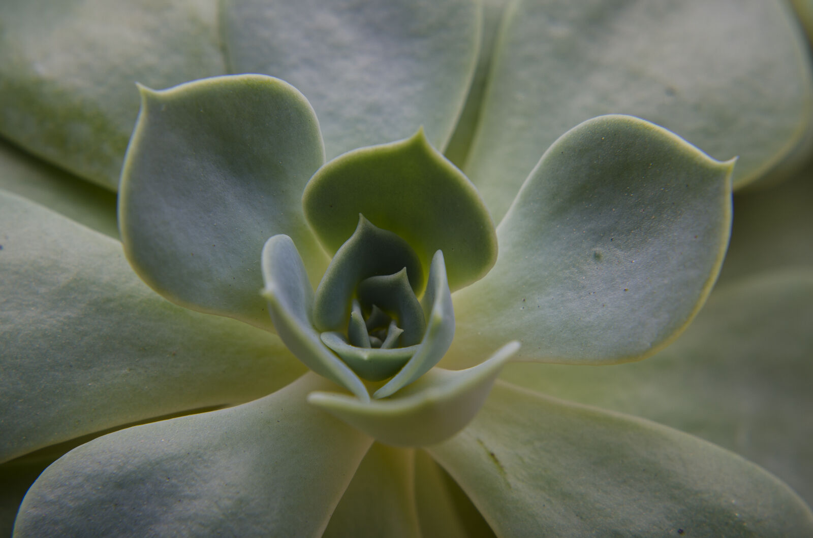 Nikon D7000 + Nikon AF-S Nikkor 50mm F1.8G sample photo. Abstract, abstrato, background, brazilian photography