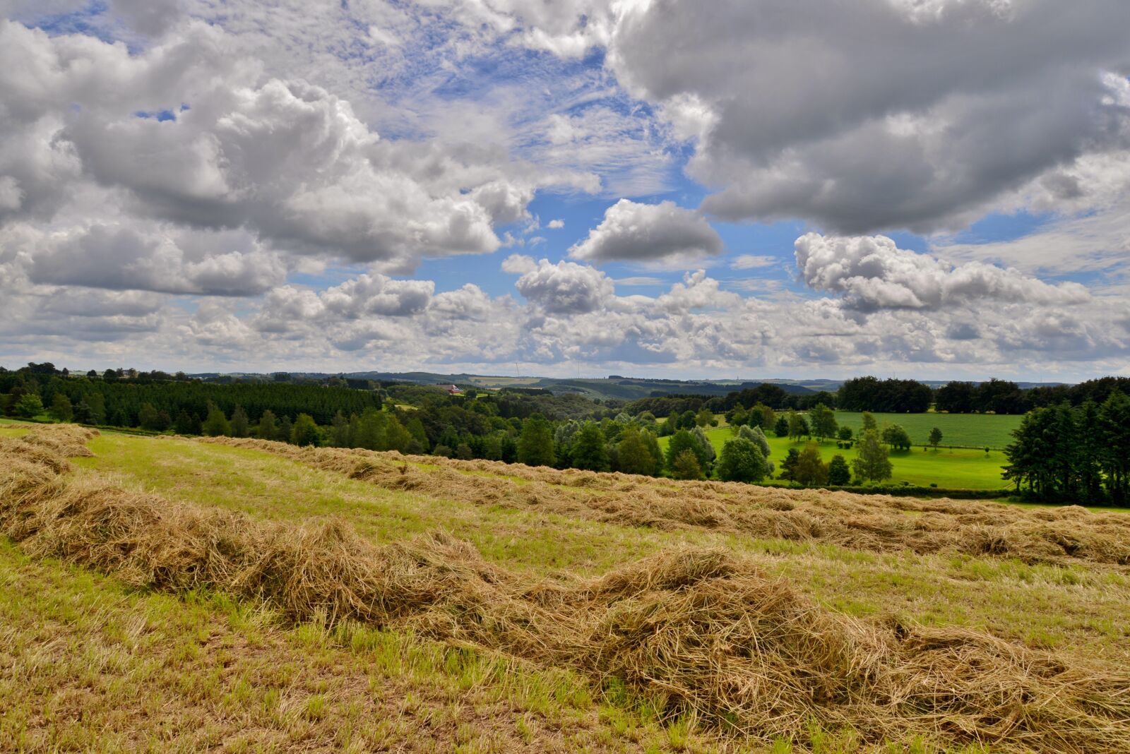 Nikon D600 sample photo. Landscape, hay, clouds photography