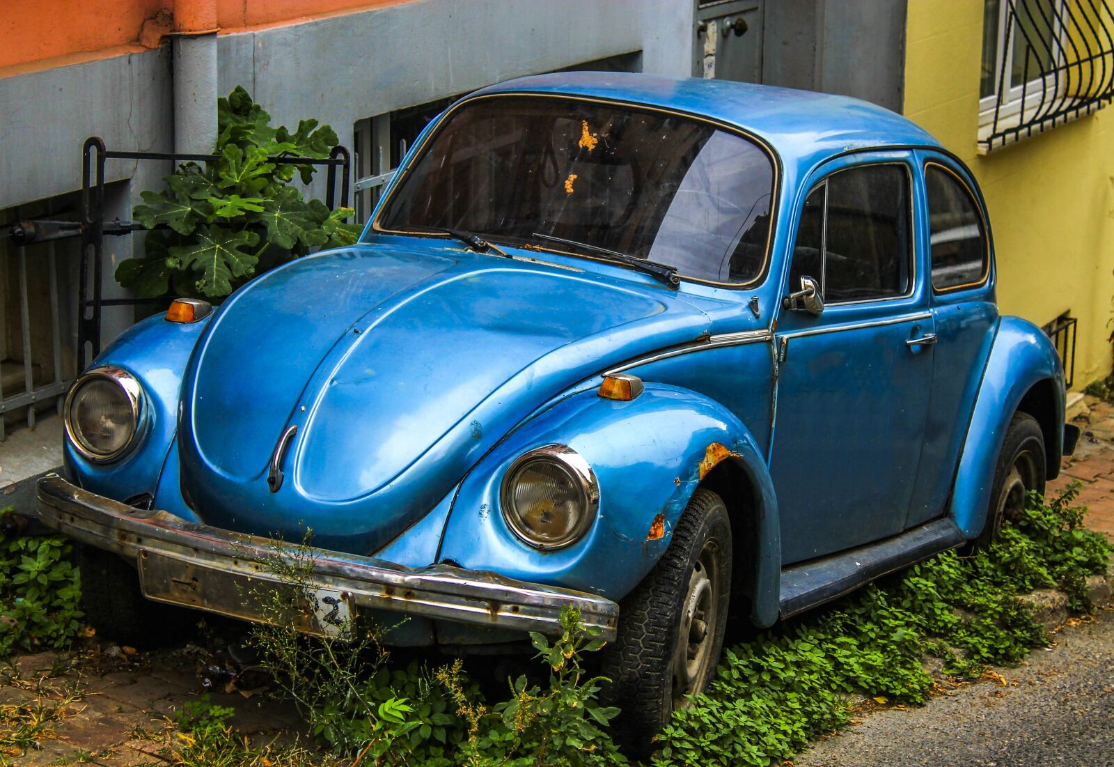 Canon EOS 1100D (EOS Rebel T3 / EOS Kiss X50) sample photo. Ww, volkswagen, classic photography