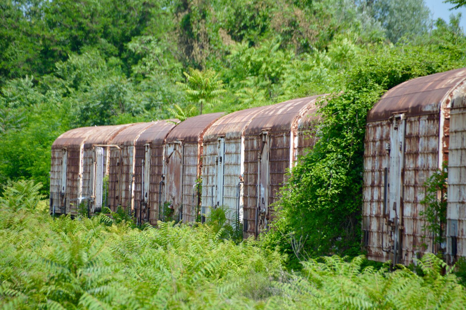 Nikon D3200 sample photo. Deserted, train, wagons, greece photography