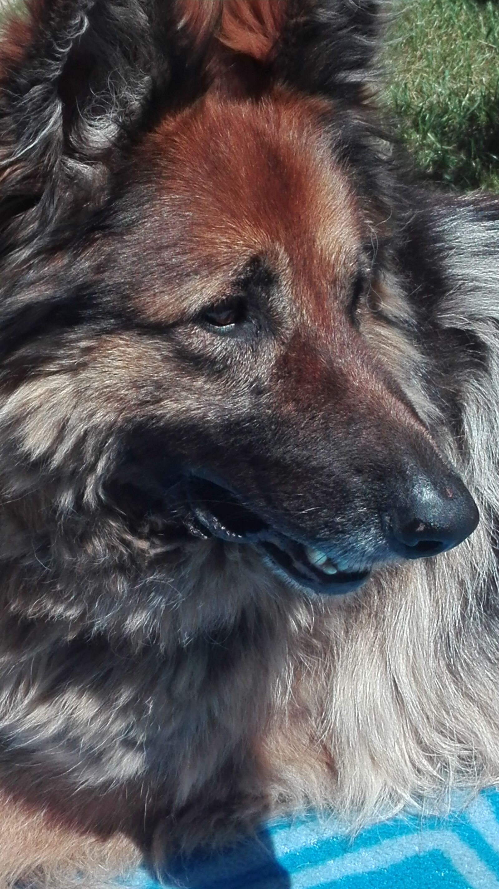 HUAWEI P8 Lite sample photo