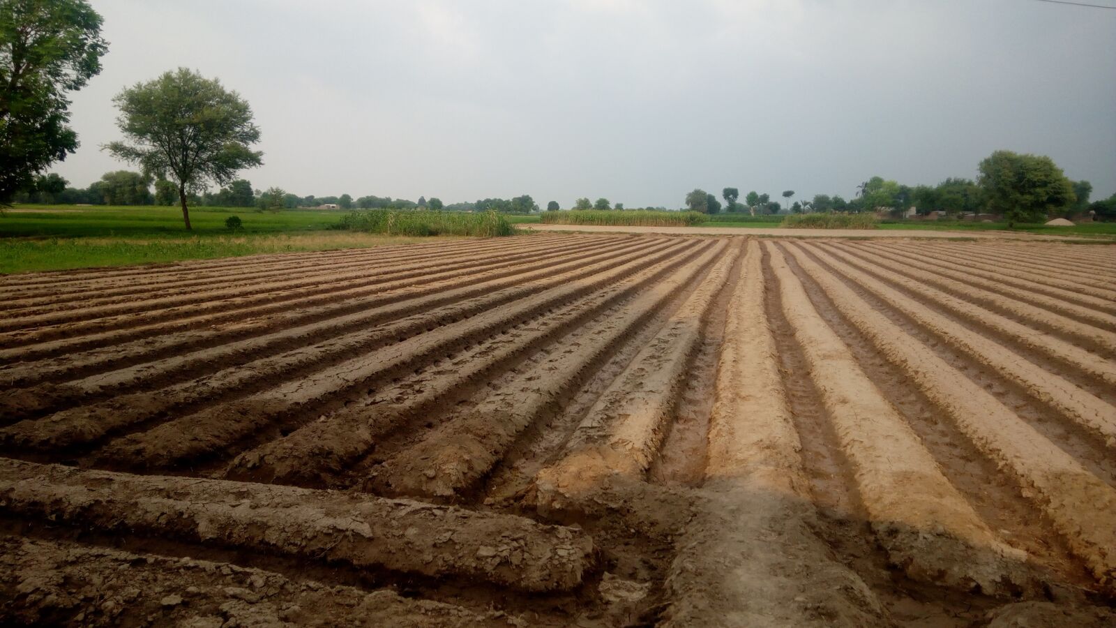 Infinix HOT 4 sample photo. Nature, village, rainy photography
