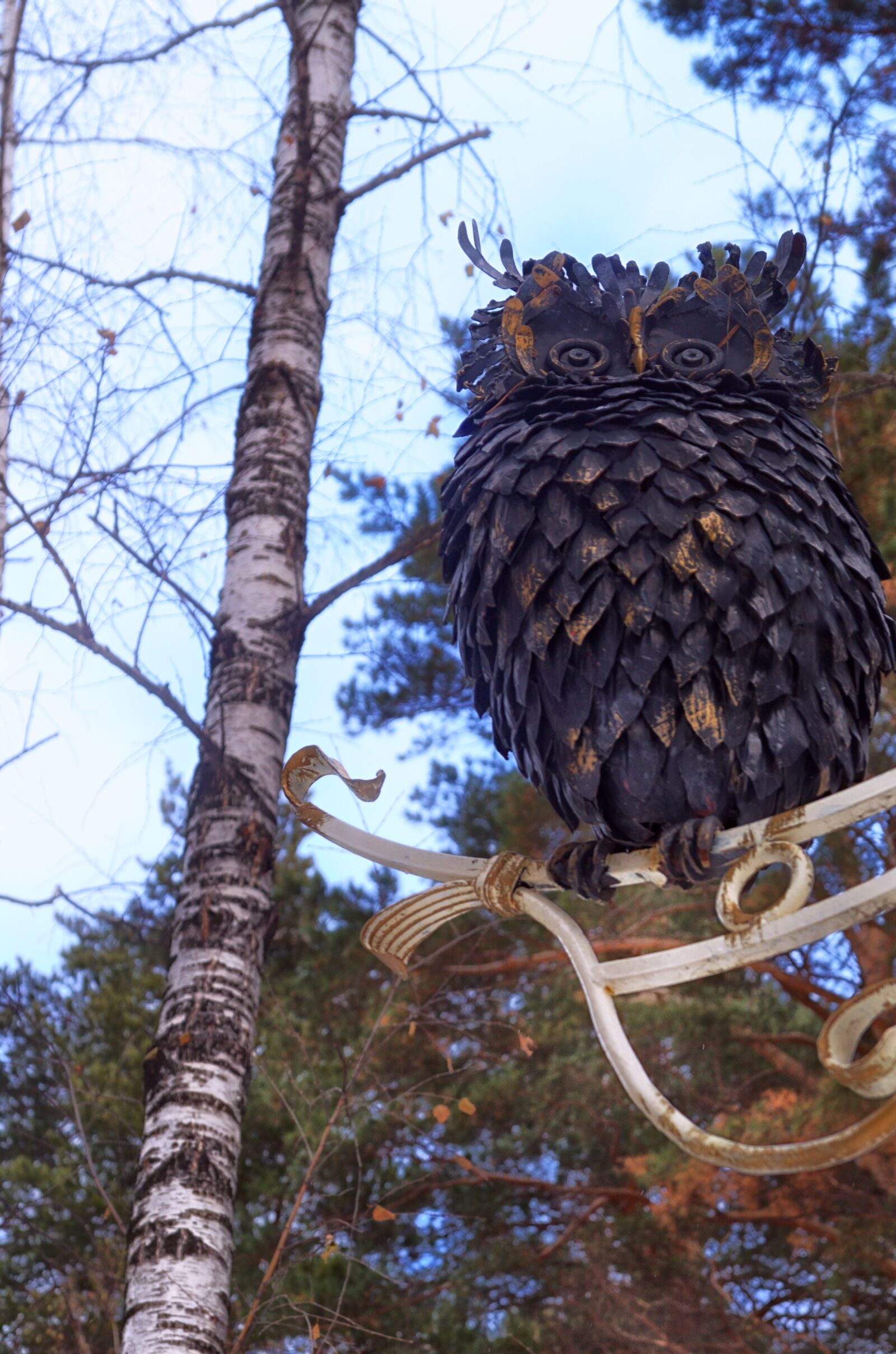 Pentax K-500 sample photo. Owl, tree, sculpture photography