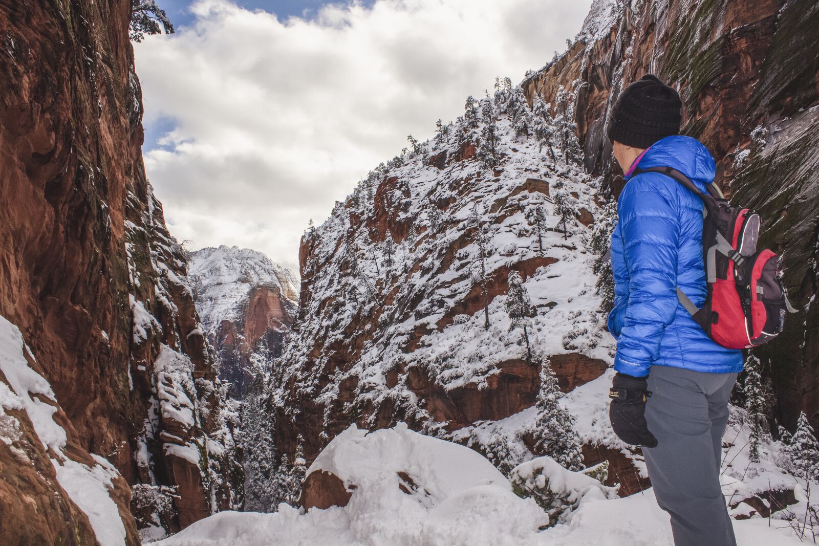 Canon EOS 600D (Rebel EOS T3i / EOS Kiss X5) sample photo. Zion, snow, utah photography