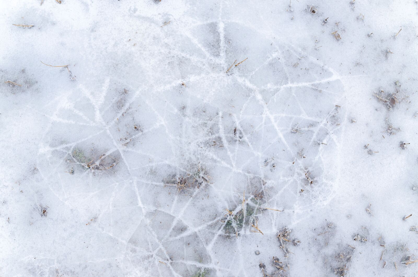 Nikon D5100 sample photo. Pattern, winter, cold photography