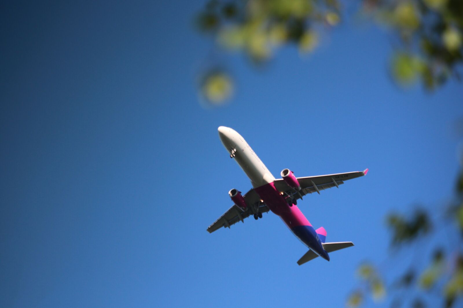 Canon EF-S 55-250mm F4-5.6 IS STM sample photo. The plane, landing, spring photography