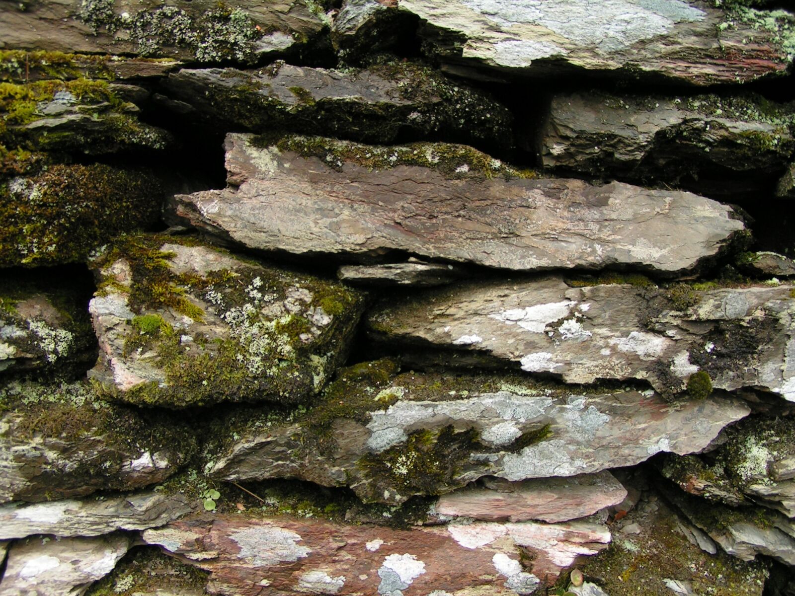 KONICA MINOLTA DiMAGE Z1 sample photo. Wall, stone, stone wall photography