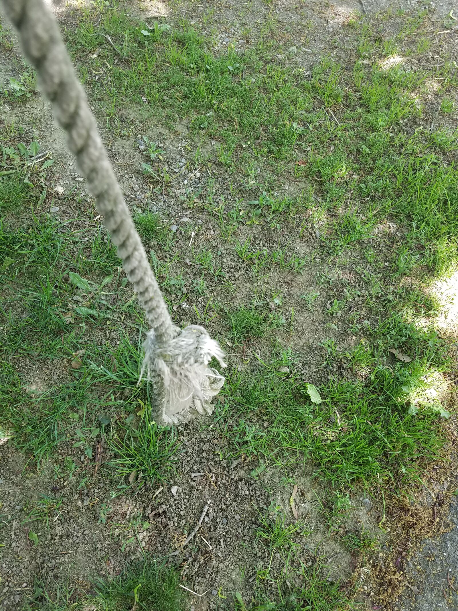 Samsung Galaxy S7 Edge sample photo. Rope, yard, swing photography