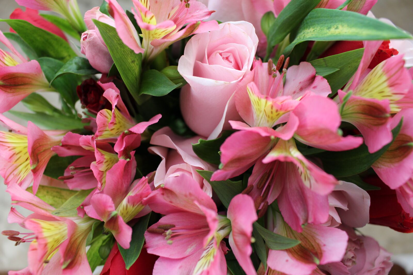 Canon EOS 700D (EOS Rebel T5i / EOS Kiss X7i) sample photo. Bouquet, flowers, pink flowers photography