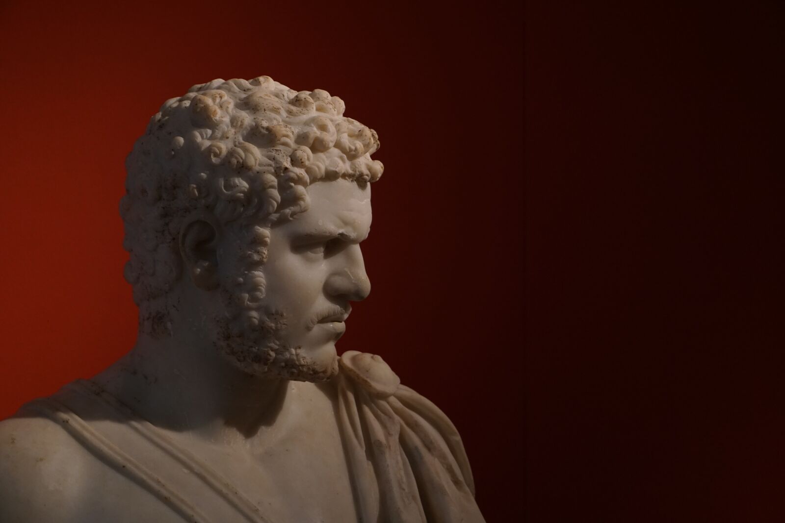 Sony a5100 sample photo. Caracalla, bust, antique photography