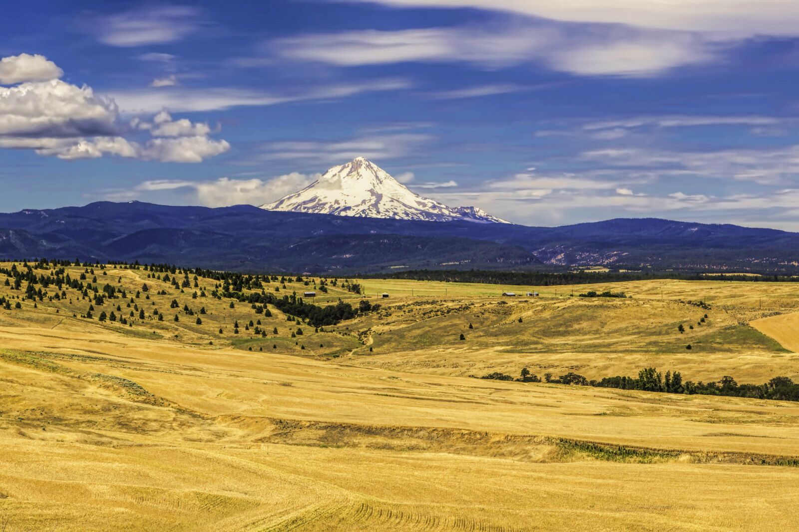 Canon EF 24-105mm F4L IS USM sample photo. Mt, hood, oregon photography