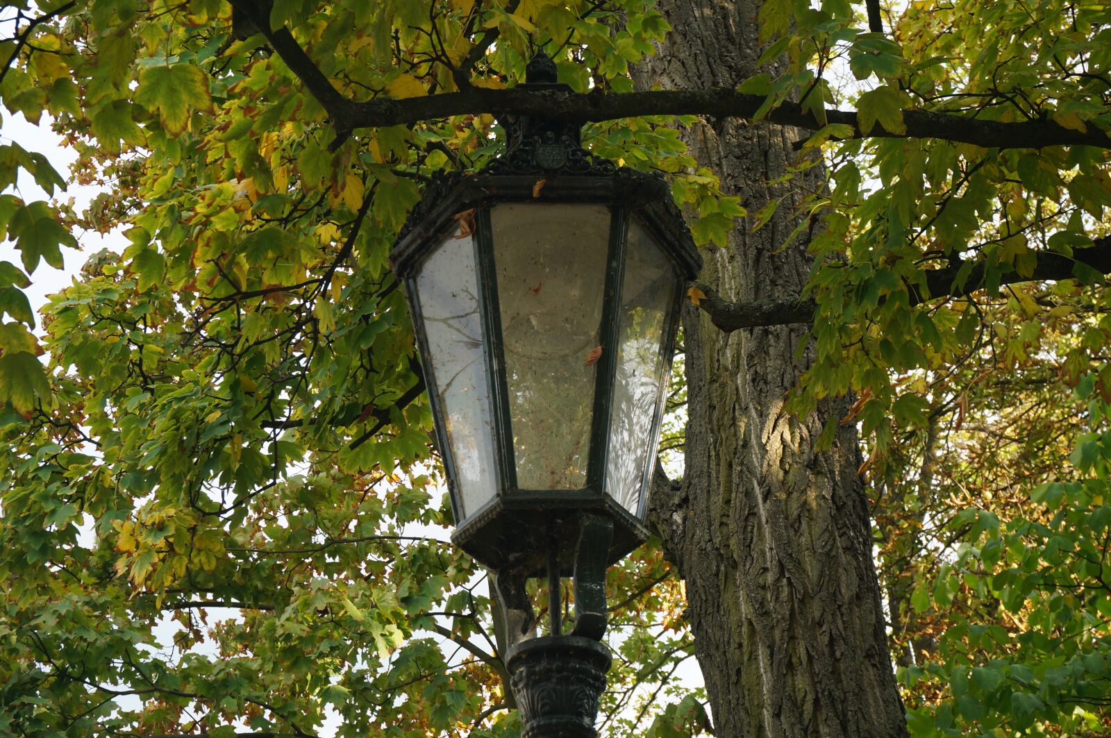 Sony Alpha NEX-3N sample photo. Lamp, lighting, light photography