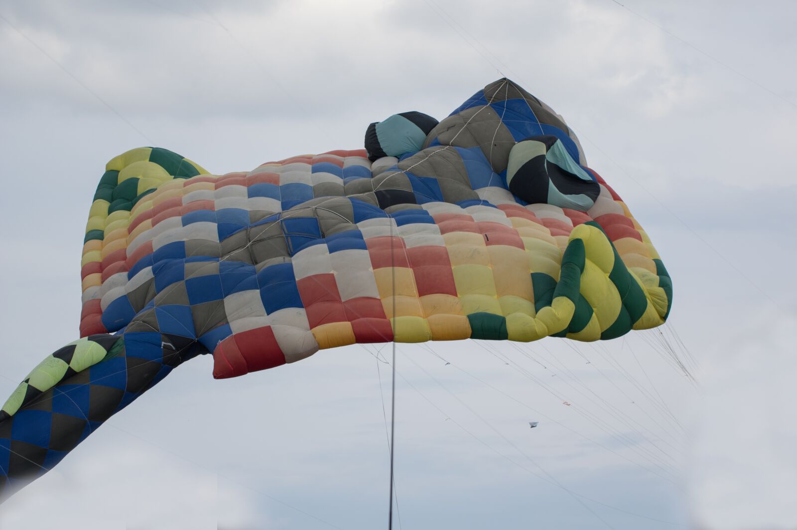 Pentax K-3 sample photo. Dragons, aircraft, dragon fly photography