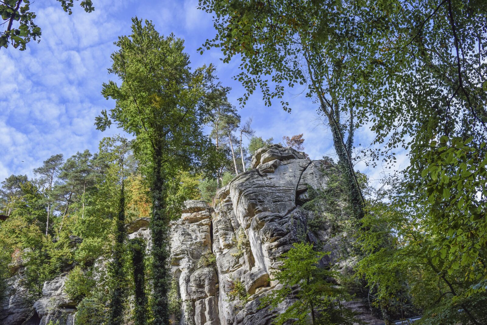 Nikon D3300 sample photo. Forest, nature, landscape photography