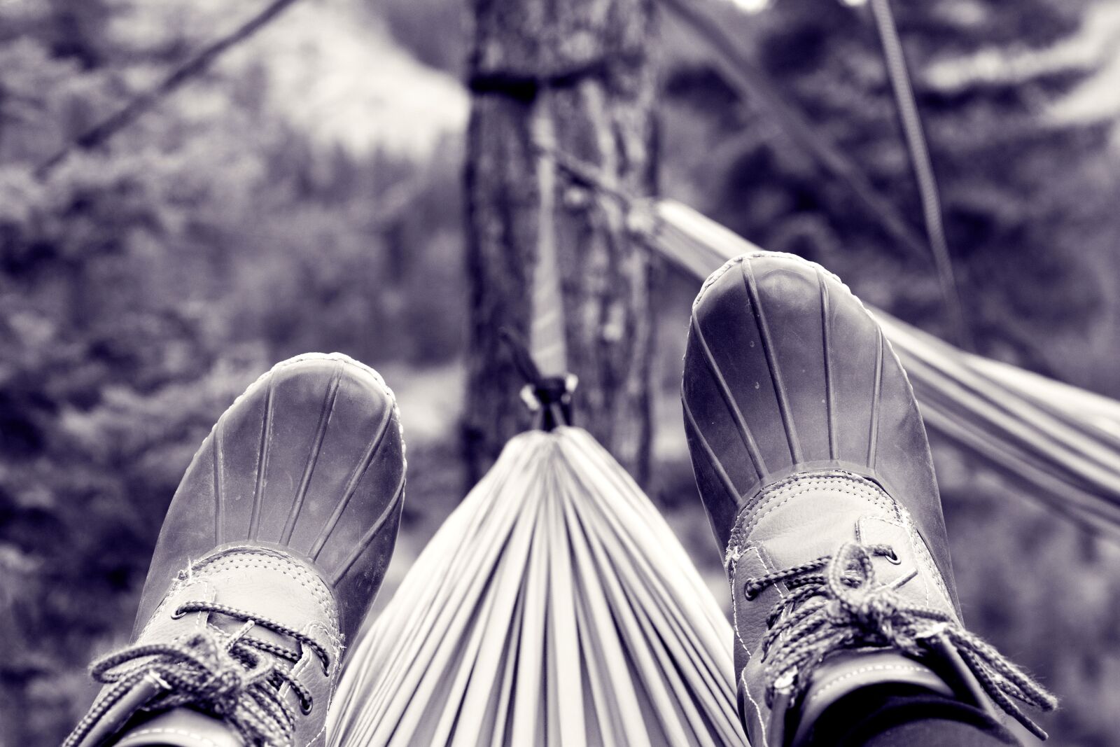 Nikon D7200 sample photo. Feet, hammock, hammocking photography