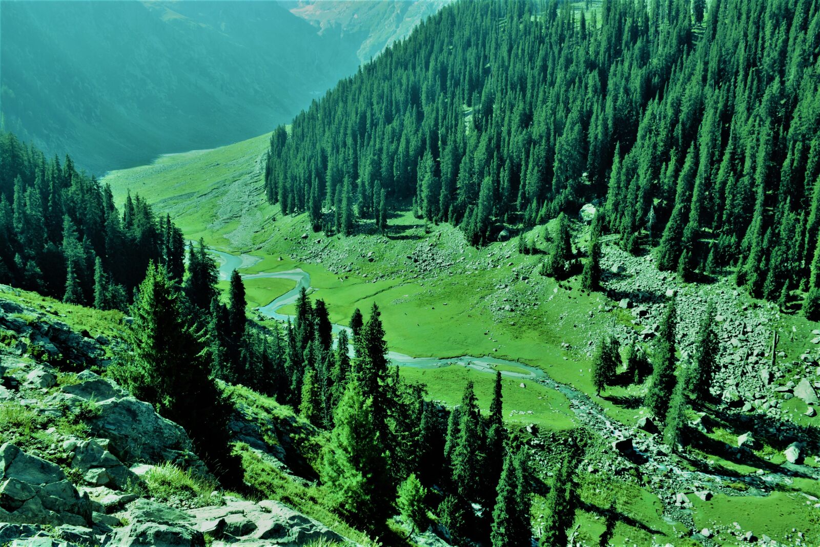 Nikon D5600 sample photo. Kumrat, pakistan, dir photography