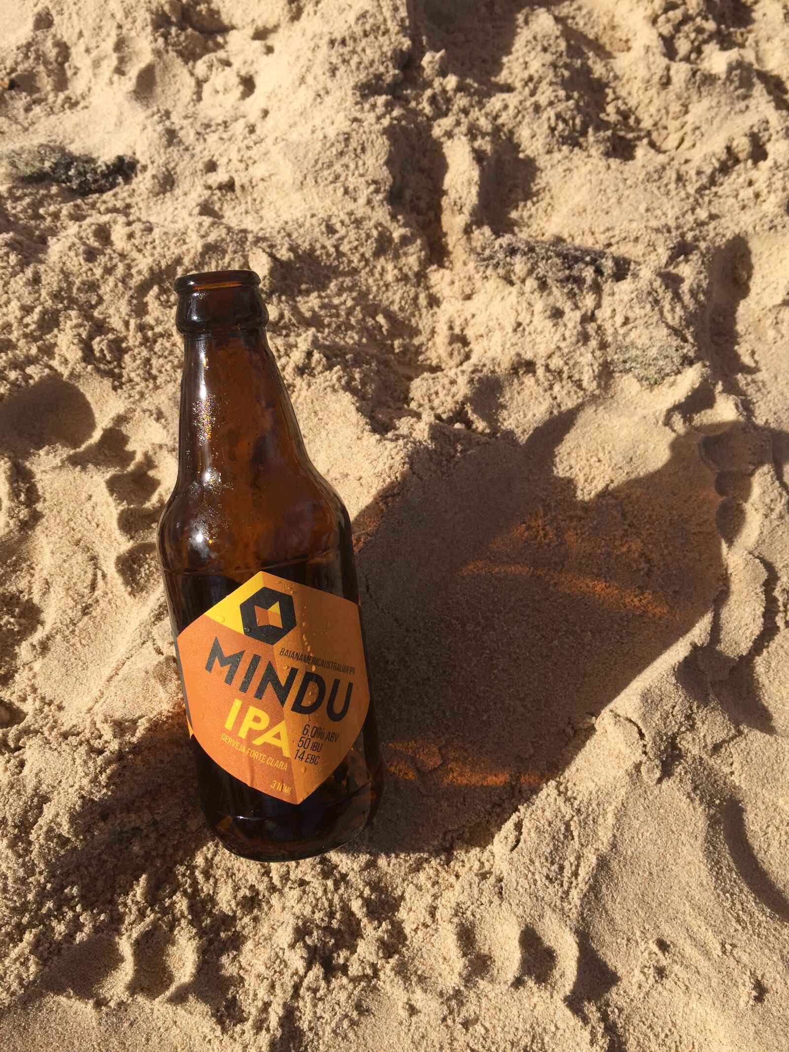 Apple iPhone 6 sample photo. Bahia, beach, beer, ipa photography