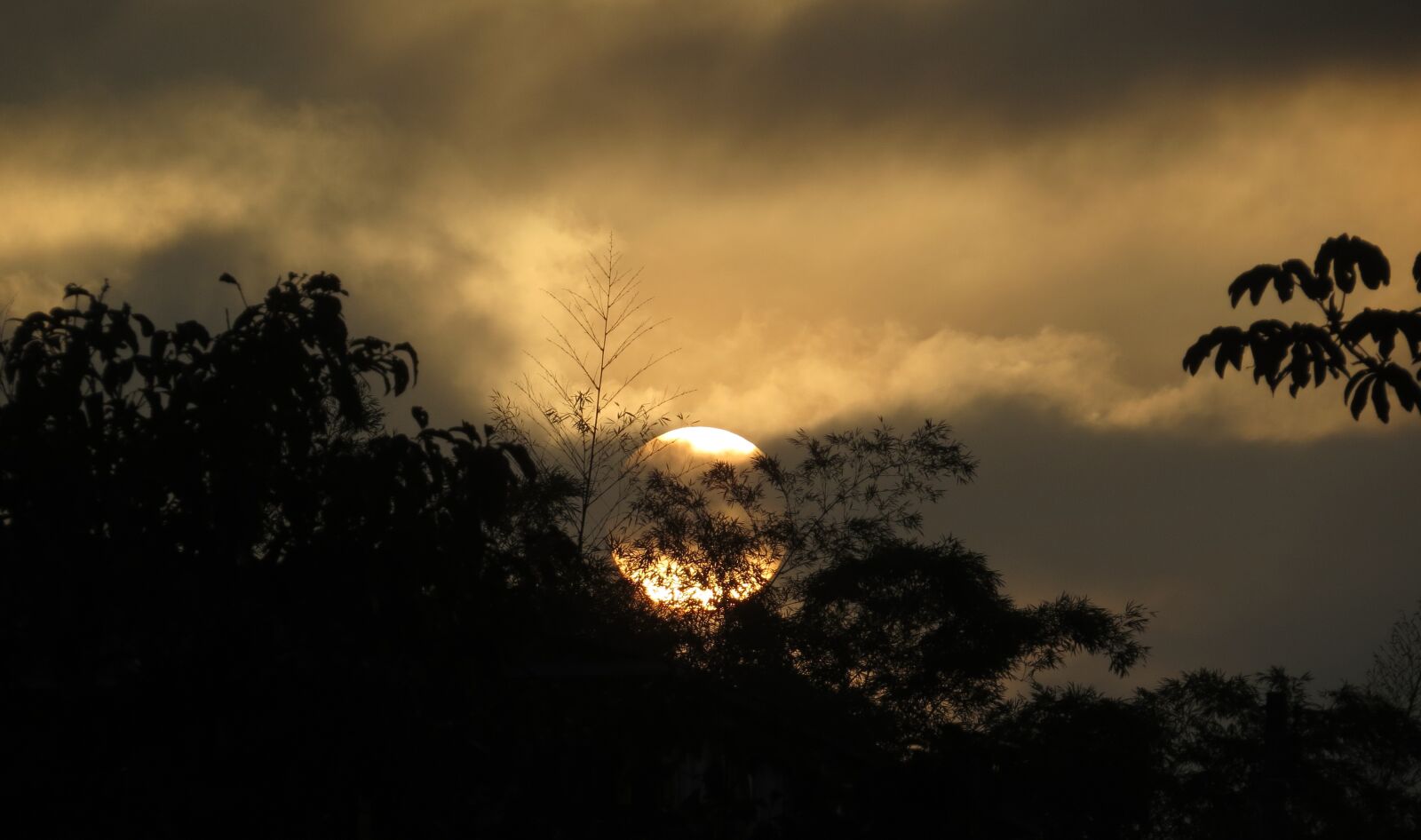 Canon PowerShot SX50 HS sample photo. Sunset, dawn, nature photography