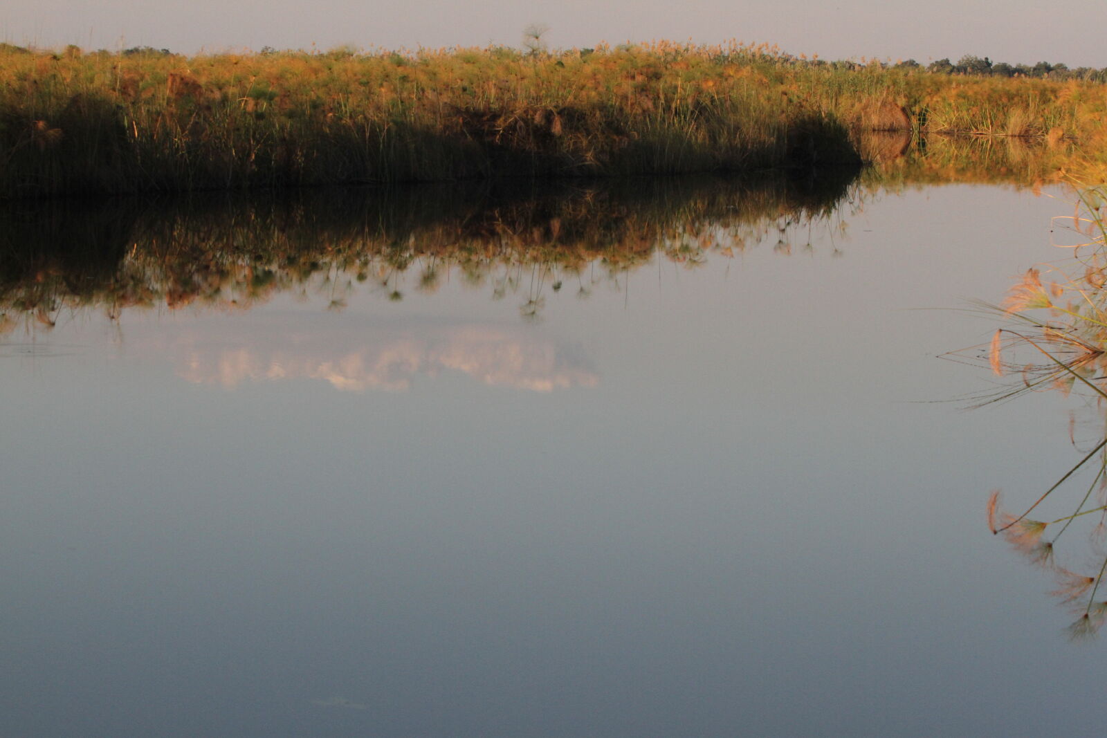 Canon EOS 7D + Canon EF 70-200mm F2.8L USM sample photo. Botswana, okawango, delta, sunset photography