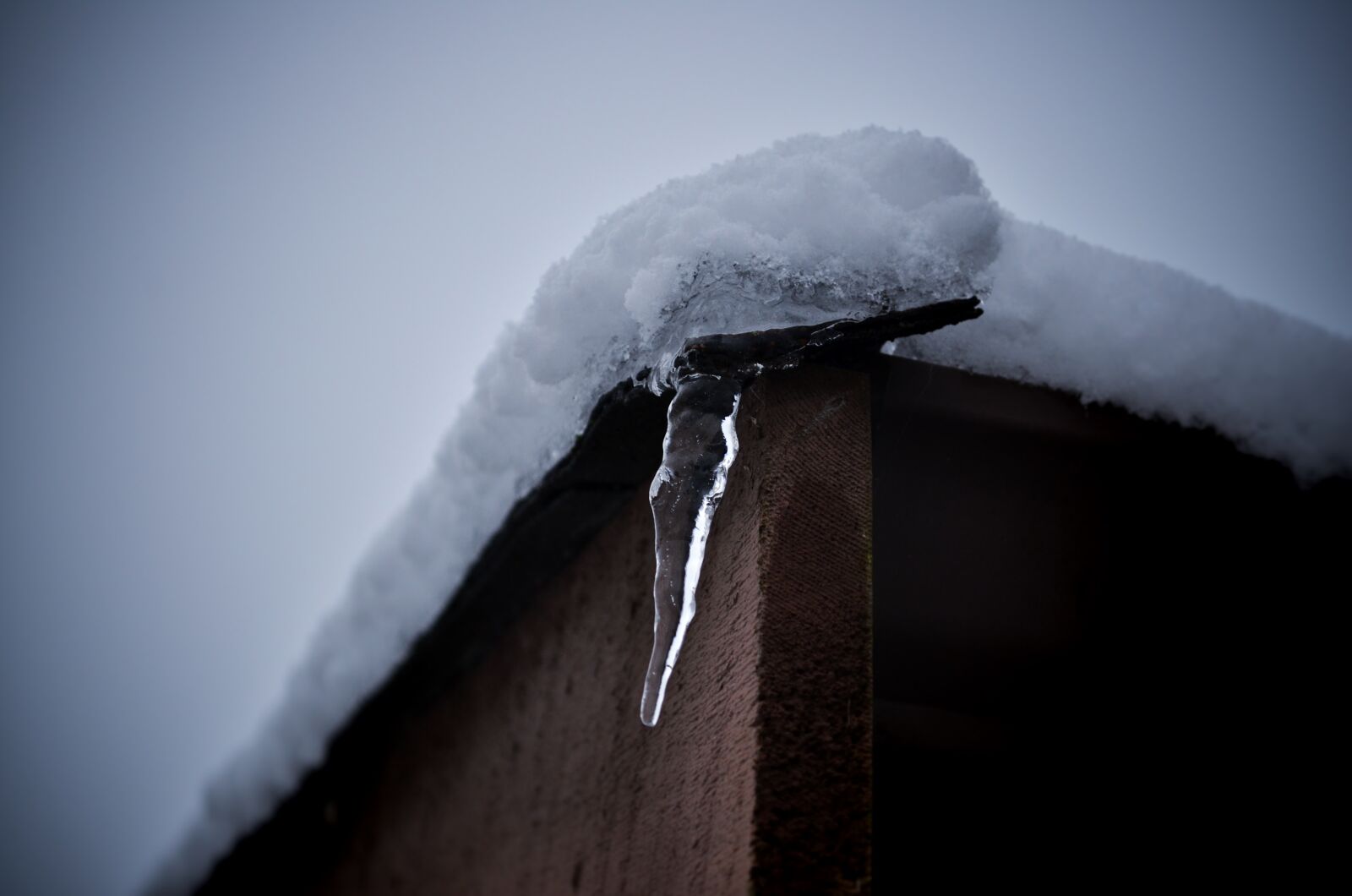 Nikon D5100 sample photo. Winter, cold, ice photography