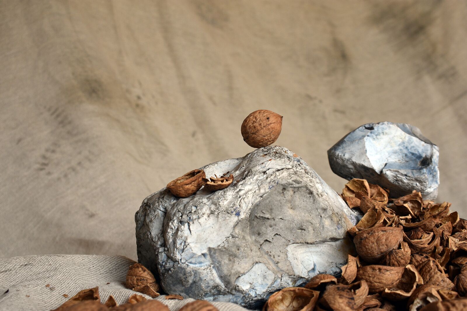 Nikon D3400 sample photo. Walnut, nuts, food photography