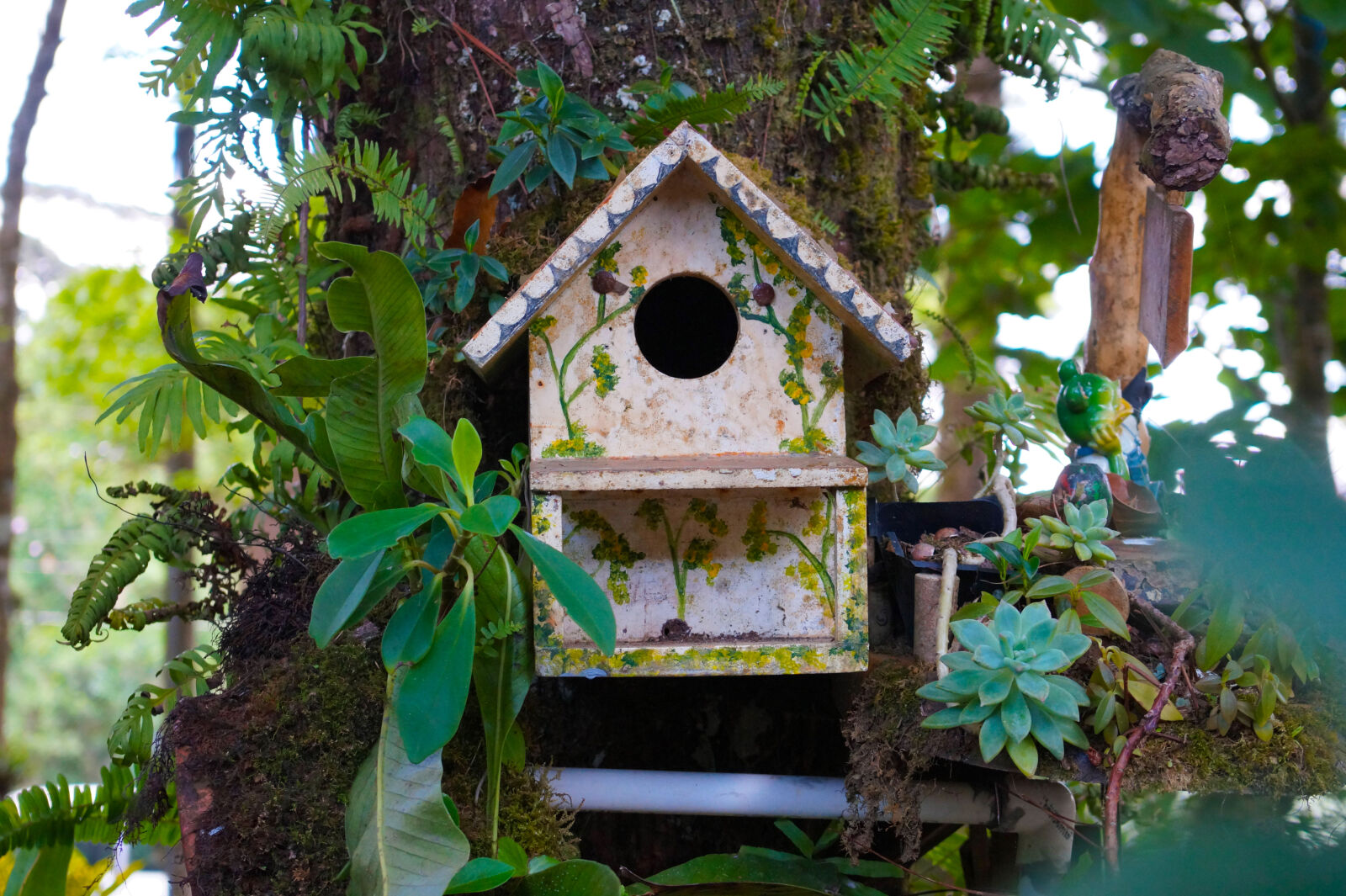 E 18-50mm F4-5.6 sample photo. Bird, bird, house, environment photography