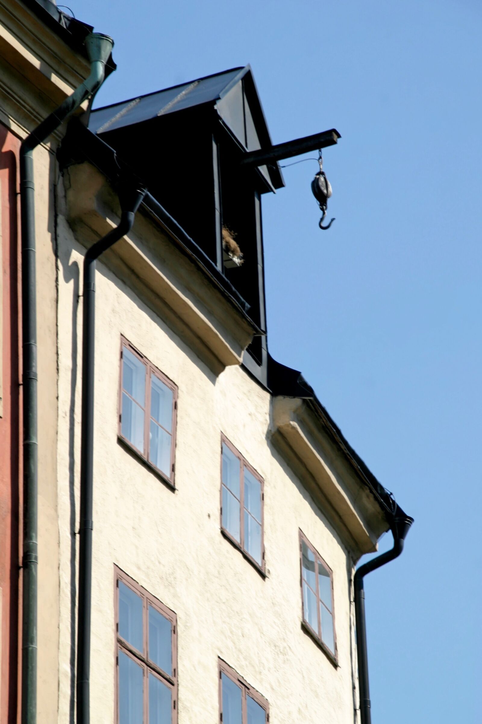 Canon EOS 10D sample photo. Facade, window, outlook photography