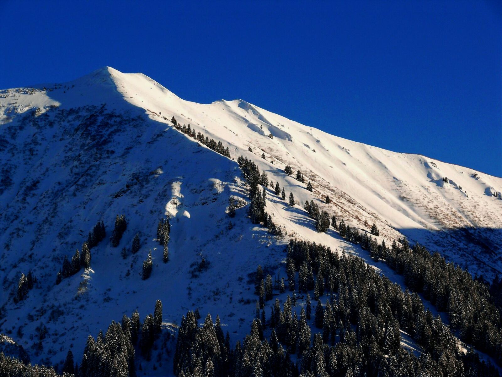 Leica V-LUX 1 sample photo. Snow, winter, mountains photography