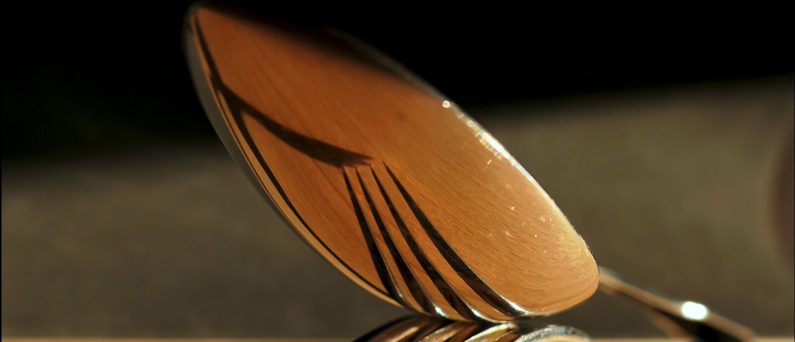 Leica V-LUX 1 sample photo. Fork, spoon, cutlery photography