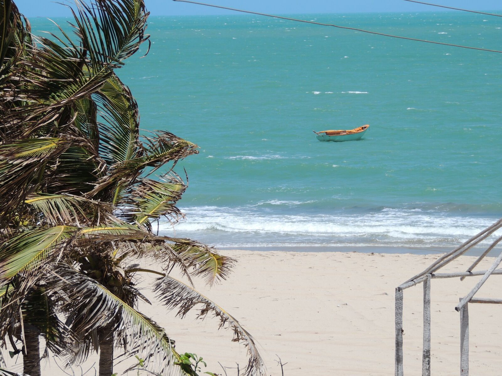 Nikon Coolpix P510 sample photo. Beach, piauí, coconut tree photography