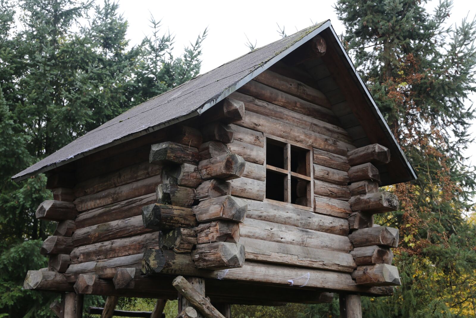 Canon EF 24-105mm F3.5-5.6 IS STM sample photo. Tree house, wood, wooden photography