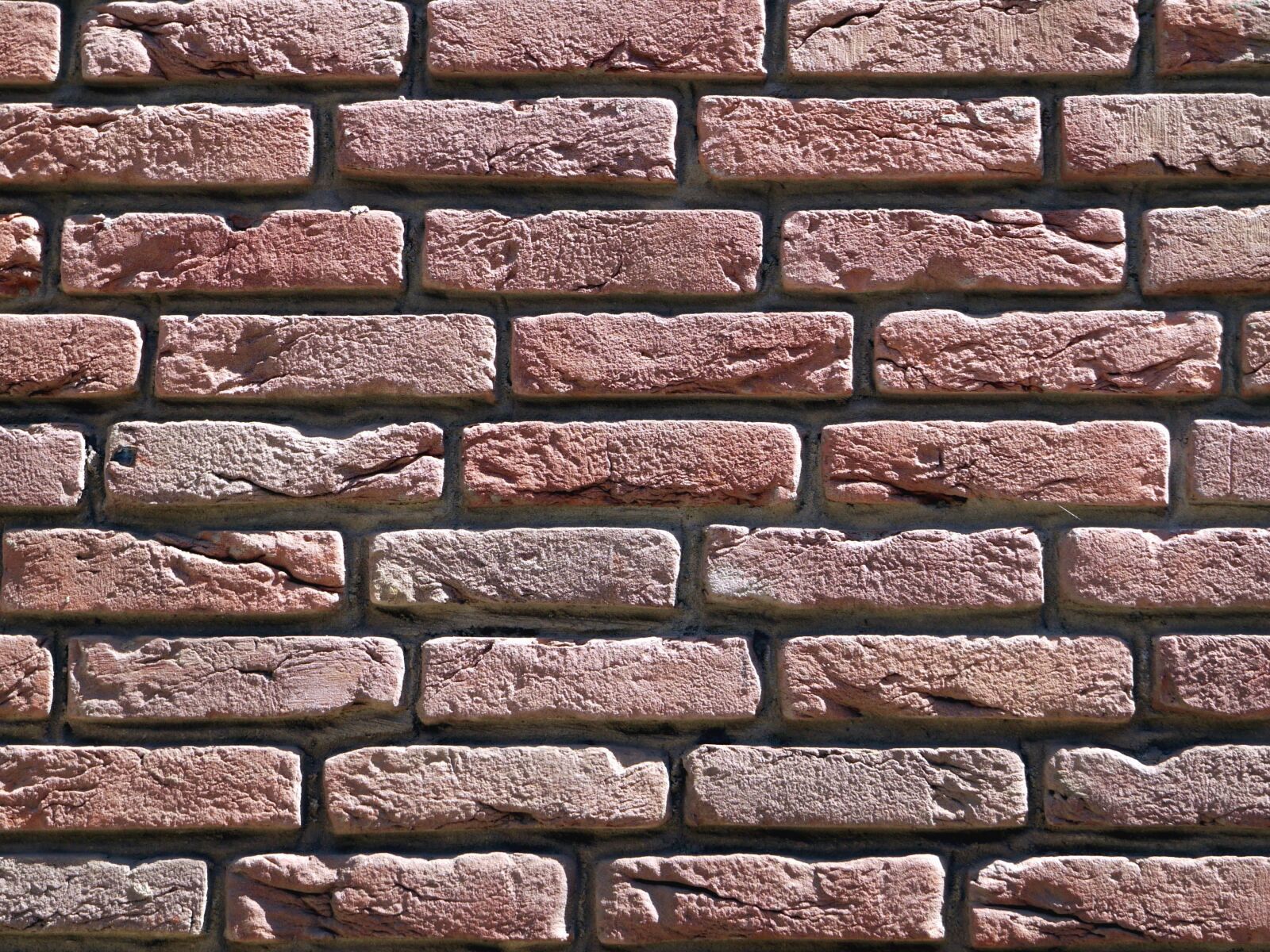 Panasonic Lumix DMC-G1 sample photo. Brick, wall, texture, architecture photography